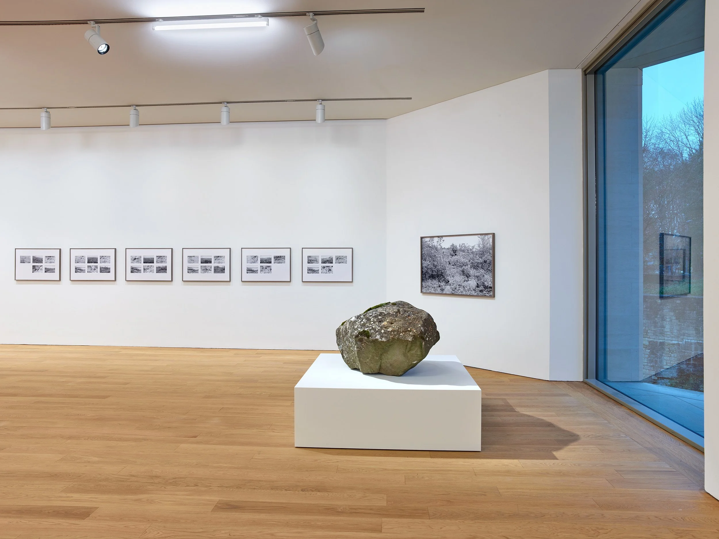 Installations — Daniel Reuter